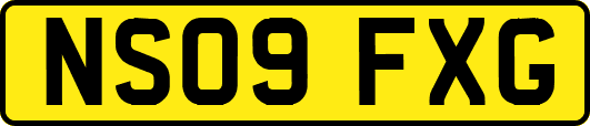 NS09FXG