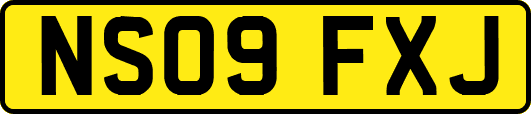 NS09FXJ