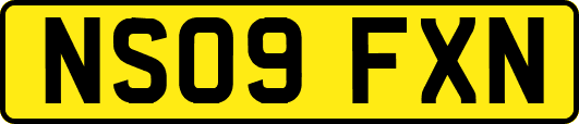 NS09FXN