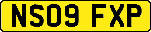 NS09FXP