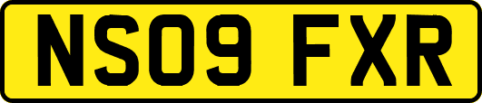 NS09FXR