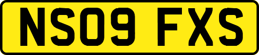 NS09FXS