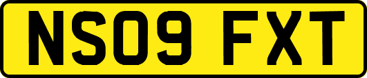 NS09FXT