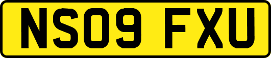 NS09FXU