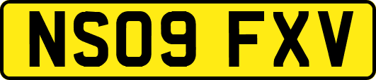 NS09FXV