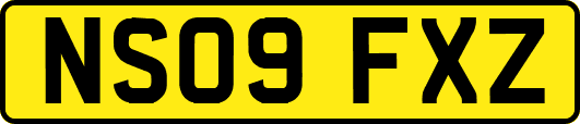 NS09FXZ