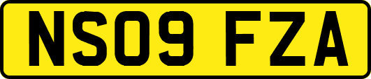NS09FZA