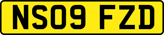 NS09FZD