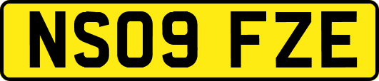 NS09FZE
