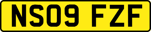 NS09FZF
