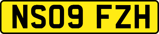NS09FZH