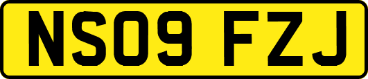 NS09FZJ