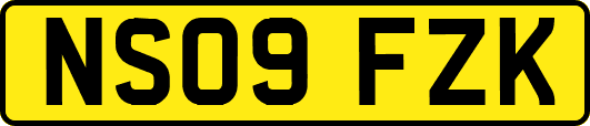 NS09FZK