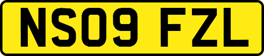 NS09FZL