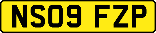 NS09FZP
