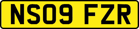 NS09FZR