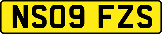 NS09FZS