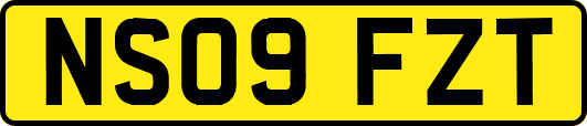 NS09FZT