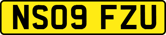 NS09FZU