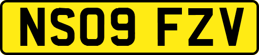 NS09FZV