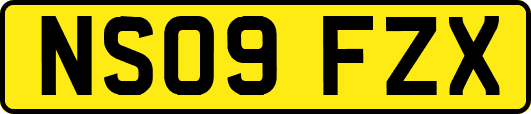 NS09FZX
