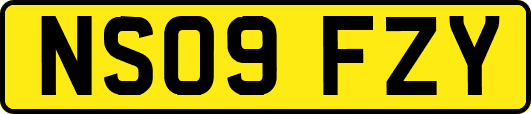 NS09FZY