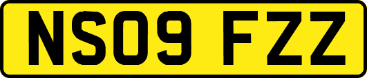 NS09FZZ