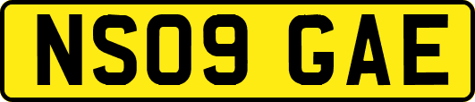 NS09GAE