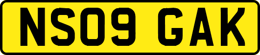 NS09GAK
