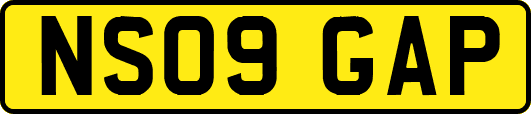 NS09GAP