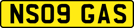 NS09GAS