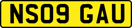 NS09GAU