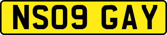 NS09GAY