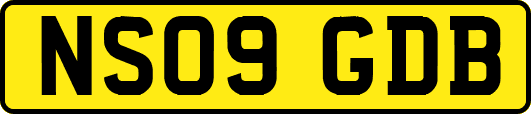 NS09GDB