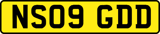 NS09GDD
