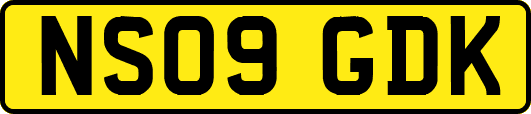 NS09GDK