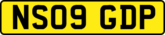NS09GDP