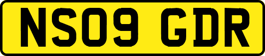 NS09GDR