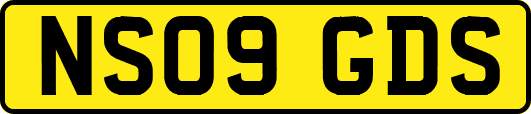 NS09GDS
