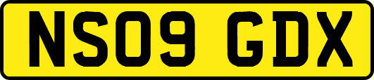 NS09GDX