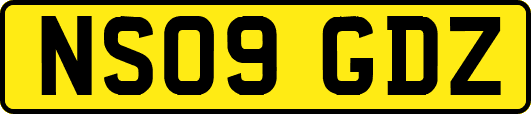 NS09GDZ