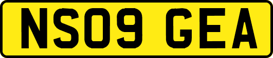 NS09GEA