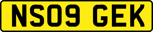 NS09GEK