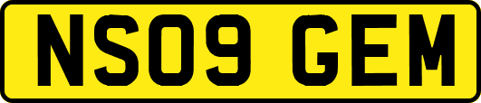 NS09GEM