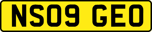 NS09GEO
