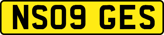 NS09GES