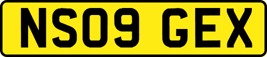 NS09GEX