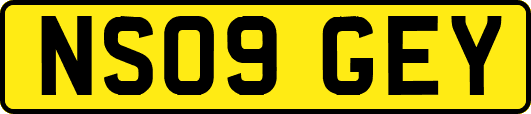 NS09GEY