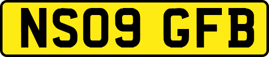 NS09GFB