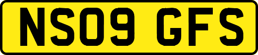 NS09GFS